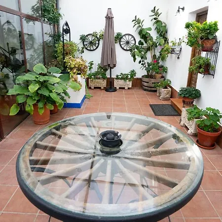 Casa Rural Quijote Y Sancho-3