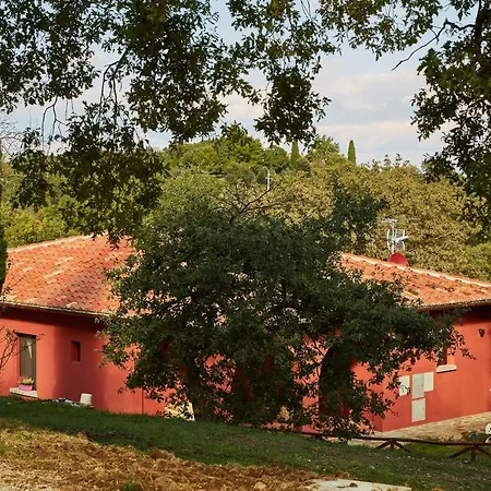 Podere Somboli-2