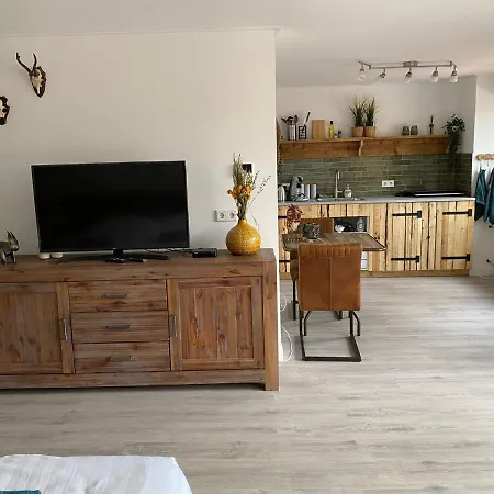 De Veluwse bos Lodge-2