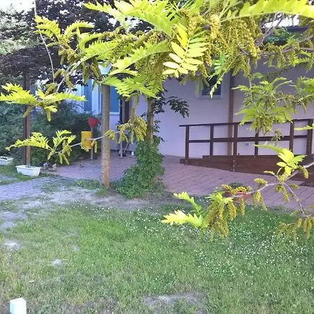 Rose Canine B&B-3