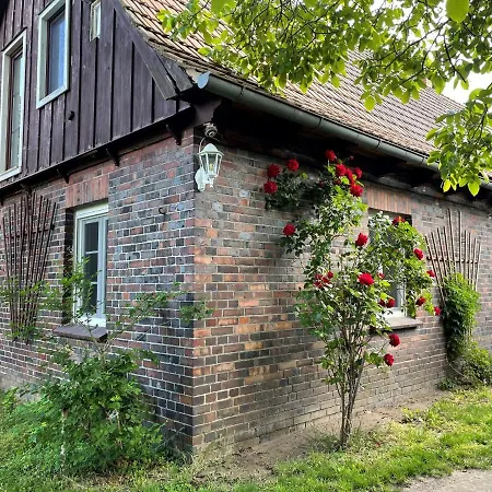 Lehdsche Heubuchten-2