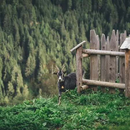 Apartments Oberpichlhof-2