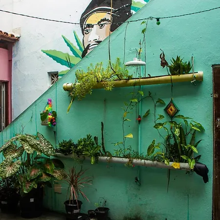 Puleiro Hostel-2