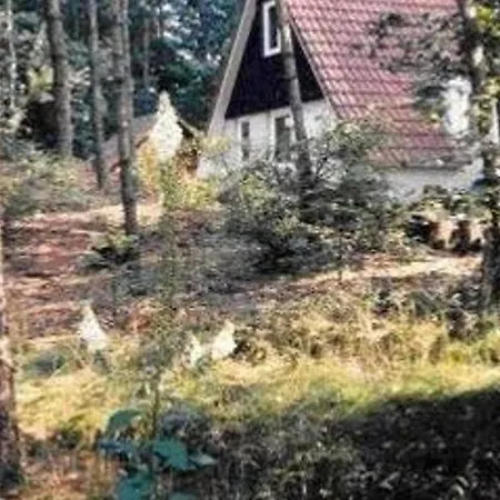 Vakantiehuis op top locatie #Ommen-3