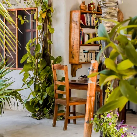 Zomay Beachfront Holbox-2