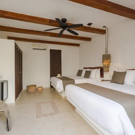 Hotel Banana Boutique & Spa - 5Th Av Playa Del Carmen-3