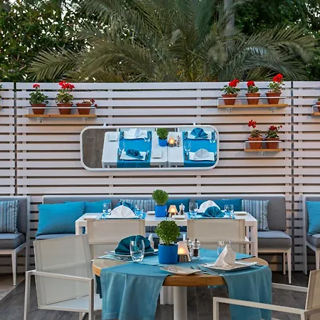 Acanthus Cennet Barut Collection-3