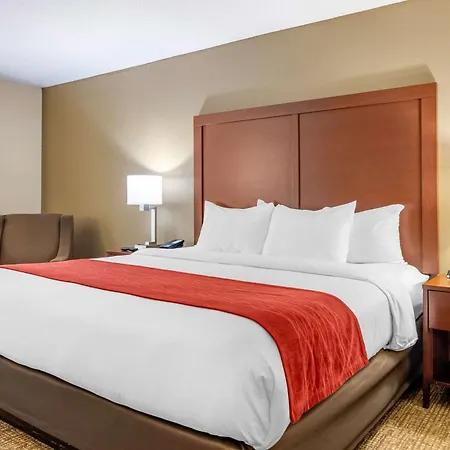 Comfort Inn & Suites Macon North I-75-3