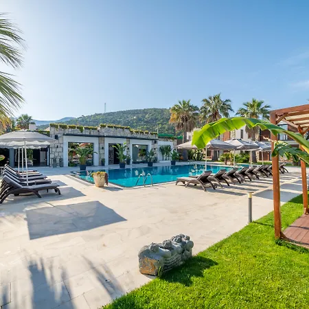 Moyo Luxury Hotel & Beach-3