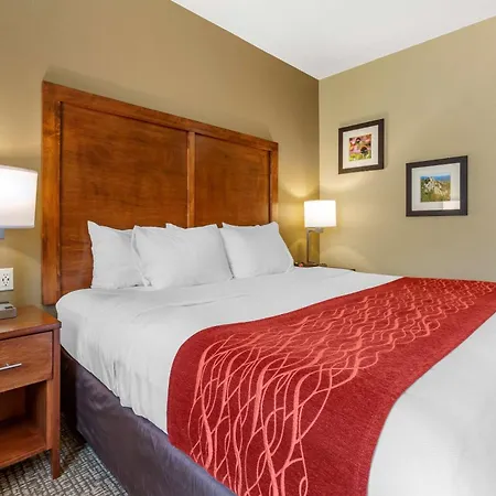 Comfort Inn & Suites Near Mt Rushmore-2