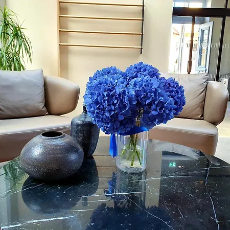 Hotel Indigo Larnaca By Ihg-Adults Only-3