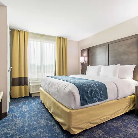 Comfort Suites Humble Houston Iah-2