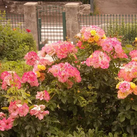 Villa Costanza-2