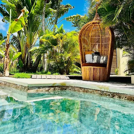 Île tropical lodges-3