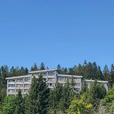 Panorama Bayerwald-2
