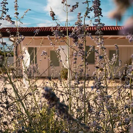 B&B La Ferula-2