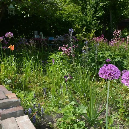 Wonderland-2