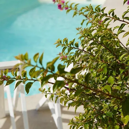 Mon Repos Palace - Adults Only-2
