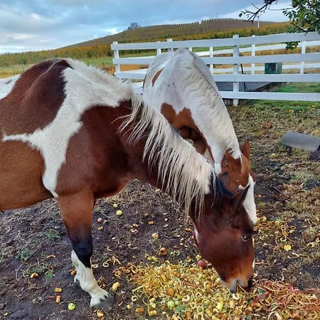Applinger Farm-2