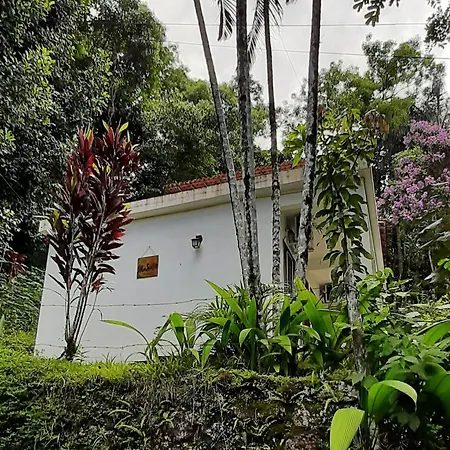 Ilha Suites - Vila do Abraão-3