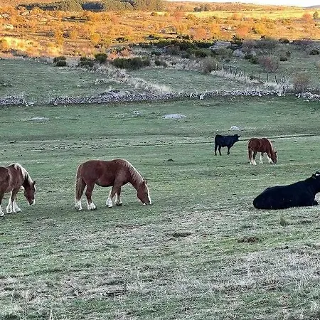 El Sobrao de Gredos-3