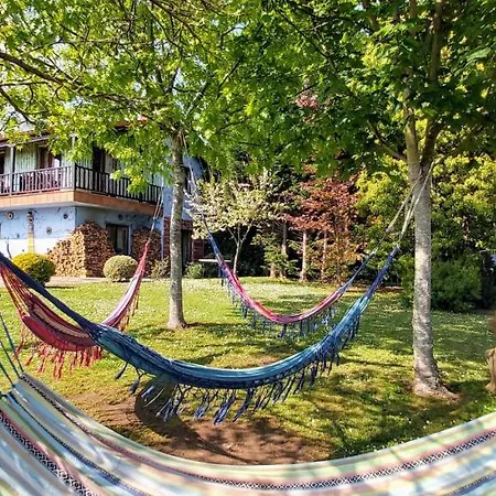 Apartamentos Rosa Jove-2
