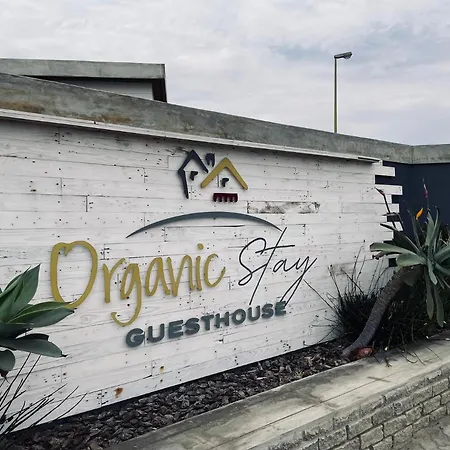 Organic Stay Guesthouse-2