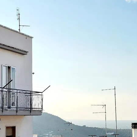 Il Girasole-2