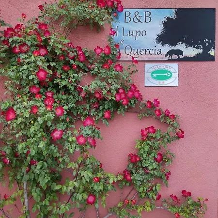 B&B Il Lupo E La Quercia-3