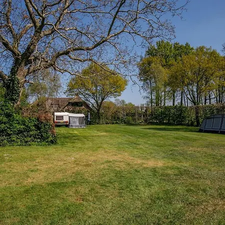 Camping De Nieuwe Hof-3