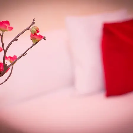 Hostal Palacio Madrid-2