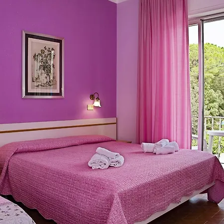 Hotel Ellymar-2