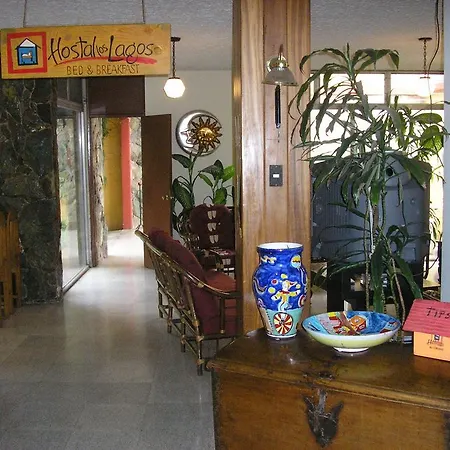 Hostal Los Lagos Inn-3