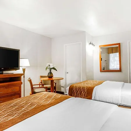 The Inn At 1252 Monterey-3