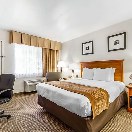 The Inn At 1252 Monterey-2