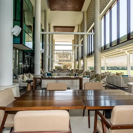 Melia Desert Palm Member Of Melia Collection-3