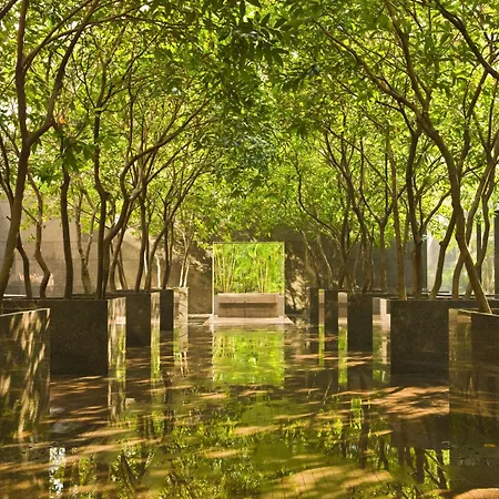 Grand Hyatt Hong Kong-3