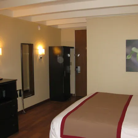 Best Western Orlando West-3