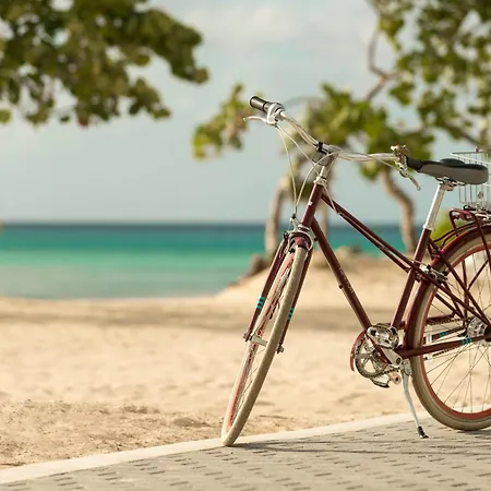 Kimpton - Hotel Palomar South Beach By Ihg-2