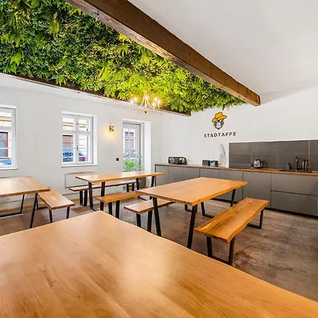 Stadtaffe - Chic Hostel VIE-3