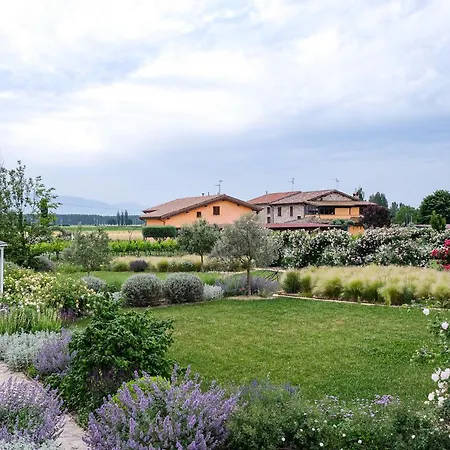 Il Fienile di Assisi-2