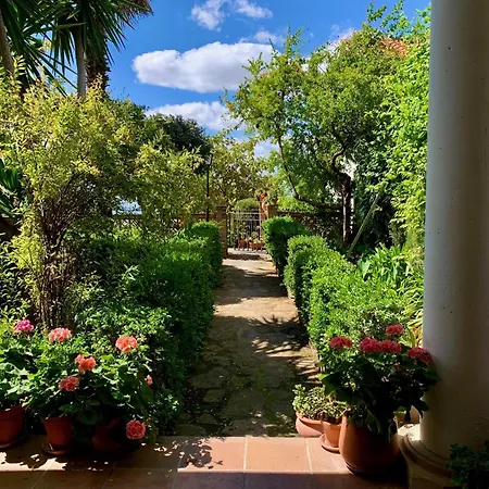 La Finca Mercedes-3