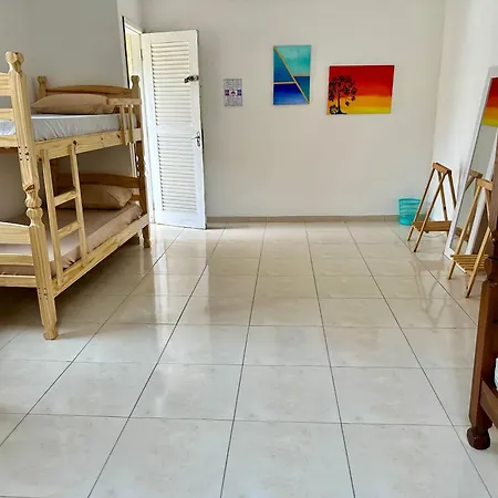 Casinha Tropical-3