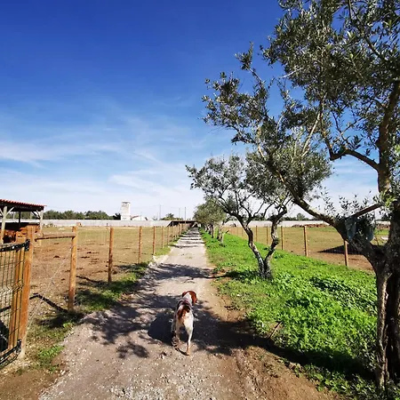 Quinta Do Louredo - Evora-2
