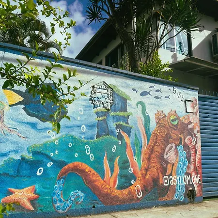 Oceanic Hostel-2
