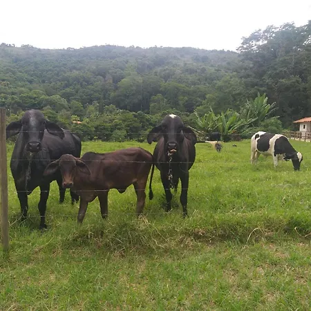 Fazenda Piloes-3