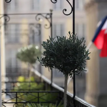 Hôtel Majestic-2