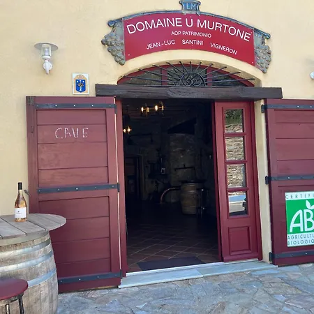 Hotel Du Vignoble-3