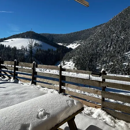 Chalet de Montagne Villard de Lans-2