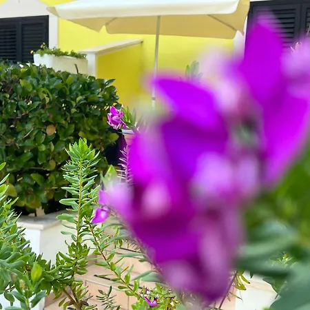 Argeste Club Vacanze-2